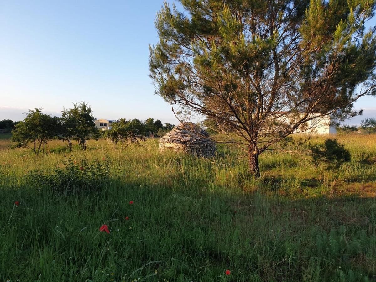 Villa Istra Divsici Luaran gambar