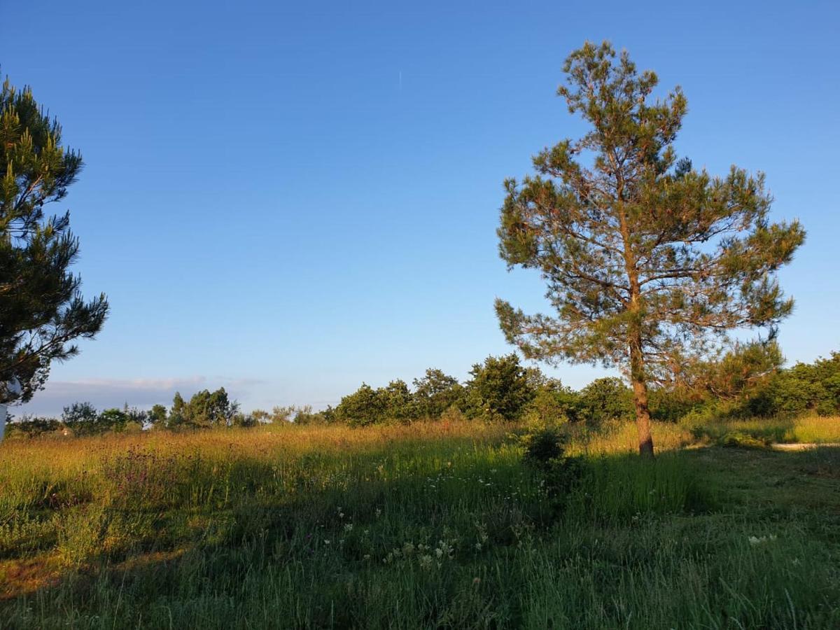 Villa Istra Divsici Luaran gambar